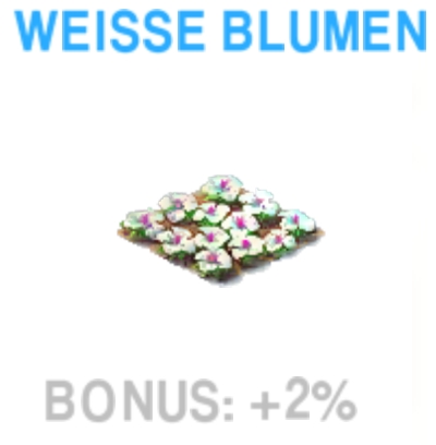 Weisse Blumen          